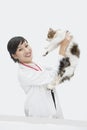 Portrait of female veterinarian holding up cat against gray background