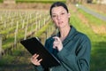 Portrait female during vineyard harvest Royalty Free Stock Photo
