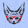 Portrait of Fennec Fox with glasses.