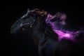 Portrait of a fiery big horse on a black background with purple pink powder