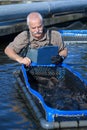 Portrait fisherman preparing net Royalty Free Stock Photo