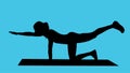 Portrait of a fit woman in a plank pose. Healthy young woman doing a cardio workout