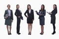 Portrait of five young smiling businesswomen, looking at camera, studio shot Royalty Free Stock Photo