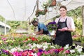 Florist woman working in greenhouse Royalty Free Stock Photo