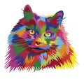 Portrait of fluffy rainbow cat