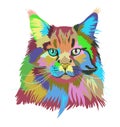 Portrait of a fluffy rainbow cat with multicolored eyes