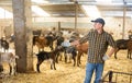 Portrait of industrious young man farmer in plaid shirt standing in livestock goat farm with work tool in hand