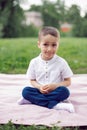 portrait of a four year old boy in a white shirt on a field in summer sit on cover.