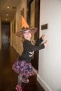 Little girl in disguise for Halloween posing at home