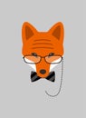 Portrait of fox grandma, wearing glasses, like an old lady, cool style Royalty Free Stock Photo