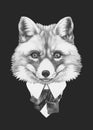 Portrait of Fox in suit. Royalty Free Stock Photo