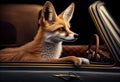 Portrait of a fox traveling in a cabriolet . Generate Ai.