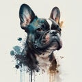 Portrait of a French Bulldog dog with abstract grunge background