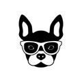 Portrait of french bulldog with glasses, black and white flat style.