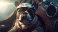 Portrait of a French bulldog wearing a pilot\'s helmet Royalty Free Stock Photo