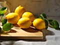 Fresh Lemons Still Life