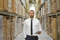 portrait friendly businessman manager in suit working in the warehouse of a company - control of inventories