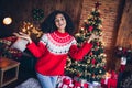 Portrait of friendly positive girl raise hands congratulate christmas decorated evergreen tree garland flat indoors Royalty Free Stock Photo