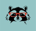 Portrait of a friendly raccoon wearing glasses Royalty Free Stock Photo