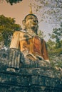 Portrait Front Right Meditation Buddha Statue in Forest in Vintage Tone