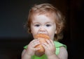 Portrait of funny baby with bread in her hands eating. Cute toddler child eating sandwich, self feeding concept. Royalty Free Stock Photo