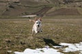 Portrait of funny baby dog running on the flowers Royalty Free Stock Photo