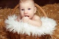 Portrait of funny baby in woven basket on pile of straw background