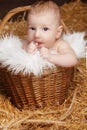 Portrait of funny baby in woven basket on pile of straw background