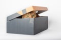 Portrait of a funny cat looking out of a box on a white background Royalty Free Stock Photo