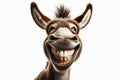 Portrait of a funny donkey with a big smile and big teeth on a white background. ai generative Royalty Free Stock Photo