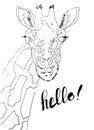 Portrait of a funny giraffe isolated on white background. Hand drawn giraffe. Illustration. Vector. Royalty Free Stock Photo