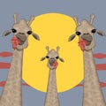 Portrait of funny giraffes. Animal character vector illustration