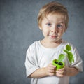 Portrait of funny little boy with window plants Royalty Free Stock Photo