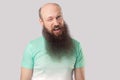 Portrait of funny middle aged bald man with long beard in light green t-shirt standing, winking and looking at camera Royalty Free Stock Photo