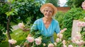 Portrait of a gardener. A charming lady in glasses and a hat poses in her flower garden near a rose bush. A traditional hobby for Royalty Free Stock Photo