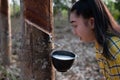 Portrait gardener young asea woman look at a full cup of raw para rubber milk of tree in plantation rubber tapping form Thailand,