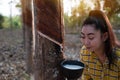 Portrait gardener young asea woman look at a full cup of raw para rubber milk of tree in plantation rubber tapping form Thailand,