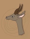 Portrait of a gazelle on a colored background