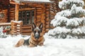 Portrait of German shepherd dog in snow in front of log cabin. Generative AI Royalty Free Stock Photo