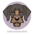 Portrait of German Wirehaired Pointer. Vector illustration in st