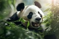 Portrait of giant panda eating bamboo leaves in the forest. Royalty Free Stock Photo