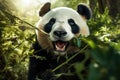 Portrait of a giant panda eating bamboo leaves in the forest, Face of a panda chewing on bamboo, AI Generated Royalty Free Stock Photo