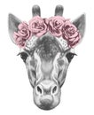 Portrait of Giraffe with floral head wreath.