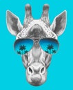 Portrait of Giraffe with mirror sunglasses.