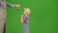 Portrait of girl in dress and rubber boots on chroma key green screen. Small cute girl gardener looking at apple in