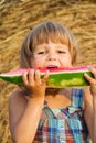 The portrait of the girl eats water-melon Royalty Free Stock Photo