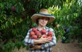 Girl horticulturist holding stack of tasty peaches in garden