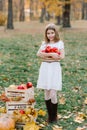 Portrait of a girl kid bit ting red apple in orchard. Sunset time, backlight Royalty Free Stock Photo