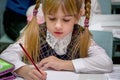 Portrait of a girl with pigtails in the classroom