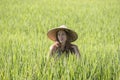 Portrait girl in a straw hat against the backdrop of a rice field in Bali, Indonesia Royalty Free Stock Photo